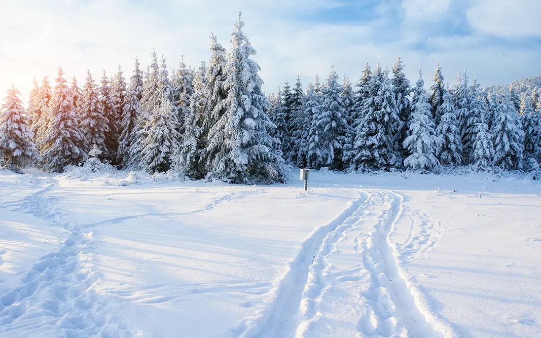 Langläufer auf der Loipe in der Nähe des Sonneck-Stüberls – sonniger Wintertag im schneesicheren Balderschwang mit perfekter Spur